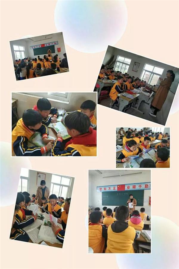 南阳市第二小学校研学活动（南阳市第三十七小学与夏营小学携手举行语文教研活动）(3)