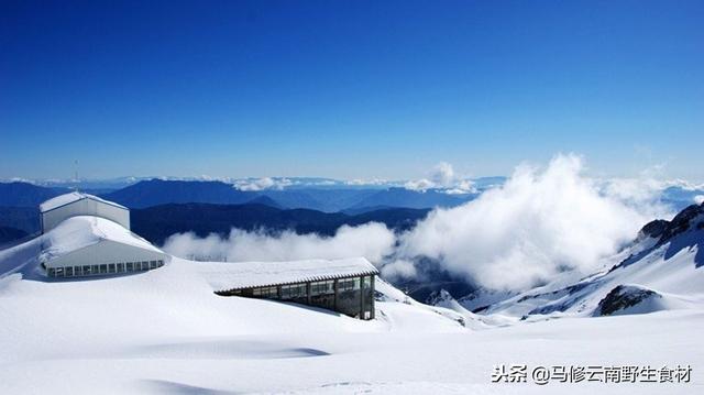 丽江玉龙雪山自由行最佳攻略（要去丽江玉龙雪山旅游的朋友们可以看看哟）(3)