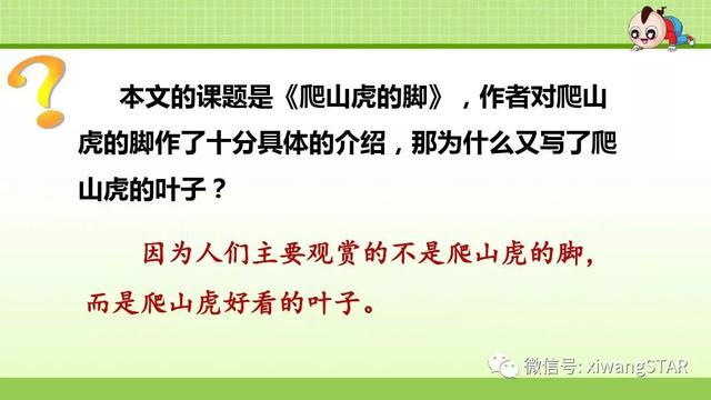 四年级语文上册爬山虎的脚知识点（部编版四年级语文上册第三单元10.爬山虎的脚知识点及练习）(51)