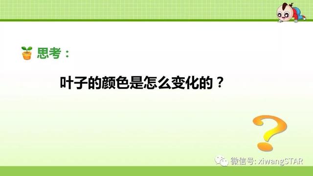 四年级语文上册爬山虎的脚知识点（部编版四年级语文上册第三单元10.爬山虎的脚知识点及练习）(38)