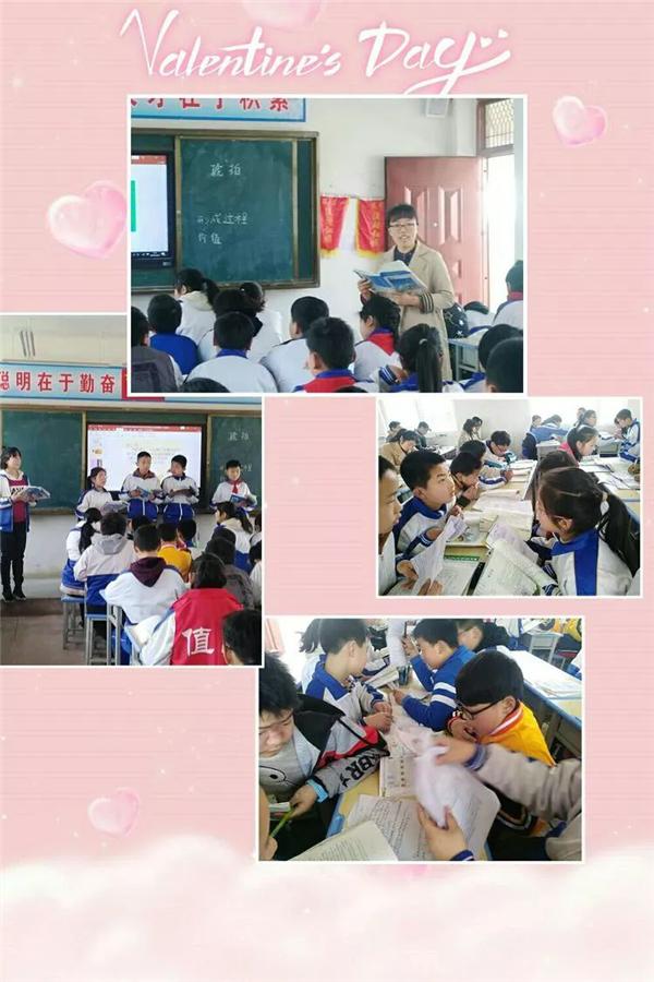 南阳市第二小学校研学活动（南阳市第三十七小学与夏营小学携手举行语文教研活动）(4)