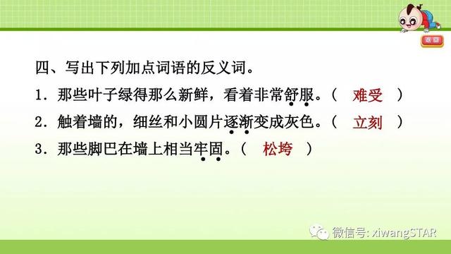 四年级语文上册爬山虎的脚知识点（部编版四年级语文上册第三单元10.爬山虎的脚知识点及练习）(64)