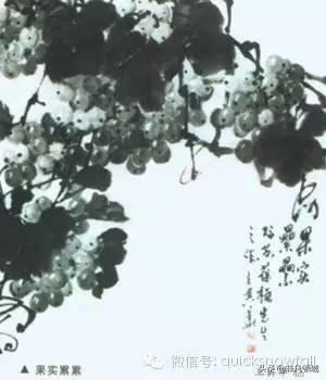 葡萄国画画法教程（国画教程怎么画葡萄）(25)