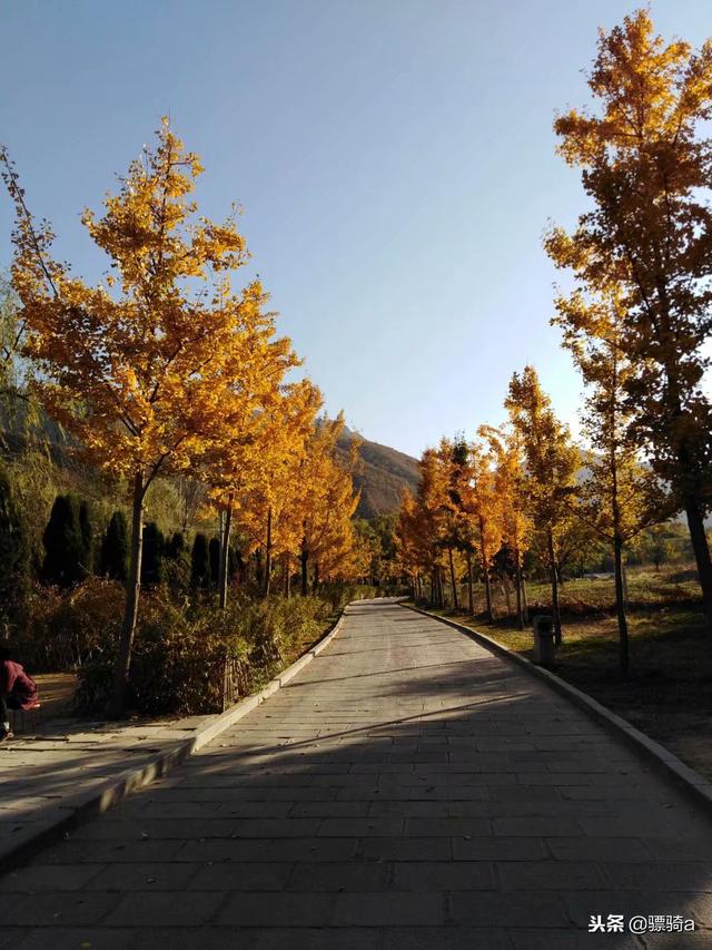 洛阳木札岭景区攻略一日游路线（洛阳自驾偃师柏峪）(29)