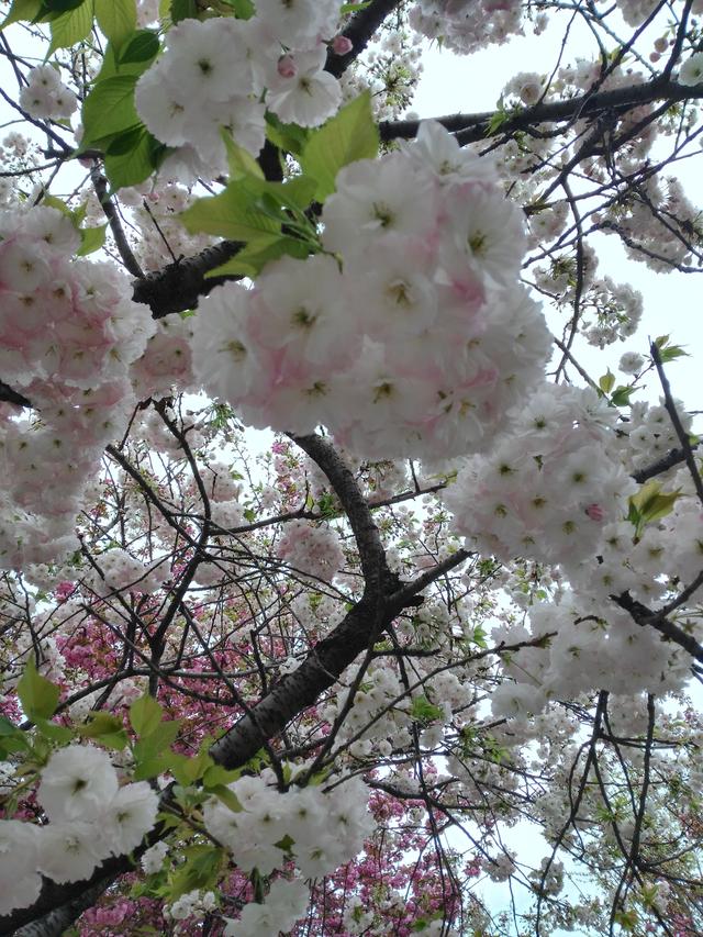 跑圈大神是怎么炼成的（三年参赛距离1000公里--跑圈老咸鱼和你聊赛事）(7)