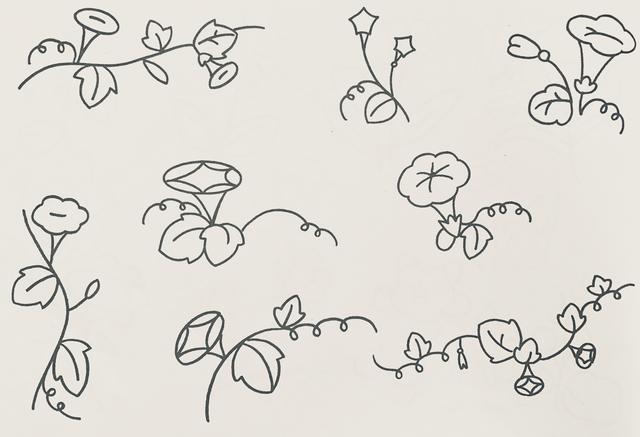 漂亮植物简笔画怎么画（花果植物简笔画）(4)