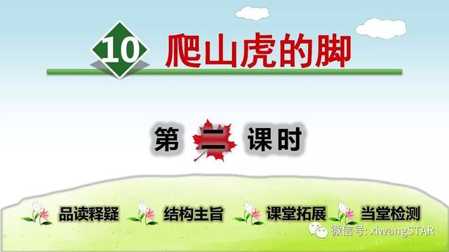 四年级语文上册爬山虎的脚知识点（部编版四年级语文上册第三单元10.爬山虎的脚知识点及练习）(29)