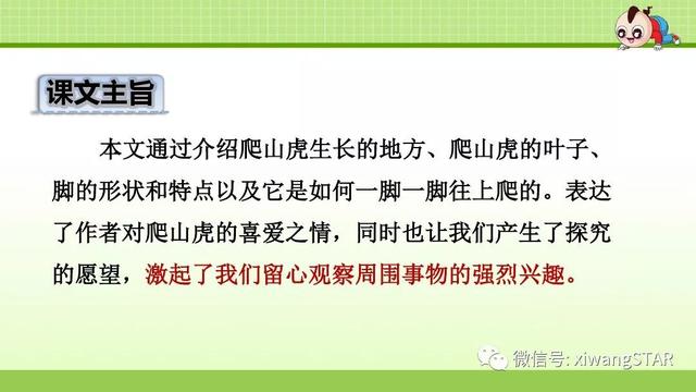 四年级语文上册爬山虎的脚知识点（部编版四年级语文上册第三单元10.爬山虎的脚知识点及练习）(53)