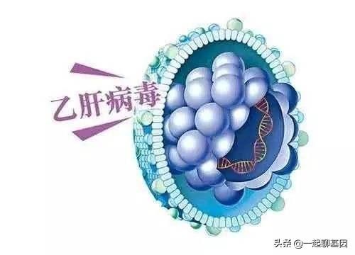 梅毒乙肝艾滋孕妇怎么阻断（谈谈艾滋病梅毒）(3)