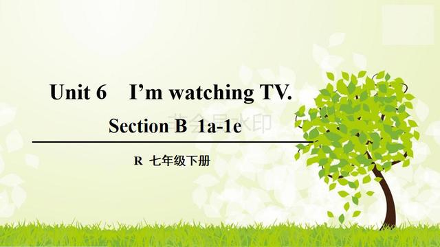 七年级下英语七单元section2b（初中七年级英语下册）(1)