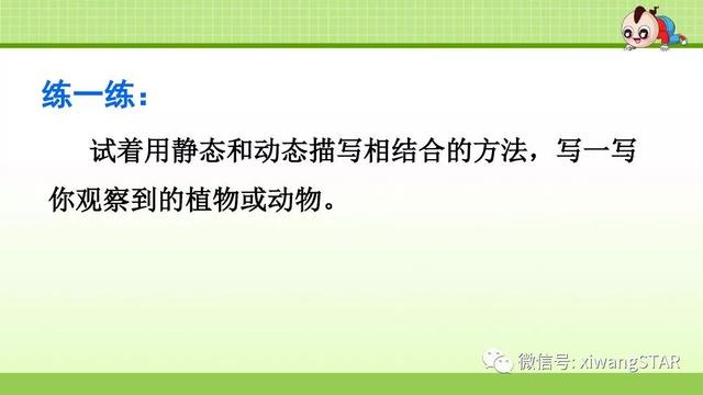 四年级语文上册爬山虎的脚知识点（部编版四年级语文上册第三单元10.爬山虎的脚知识点及练习）(56)