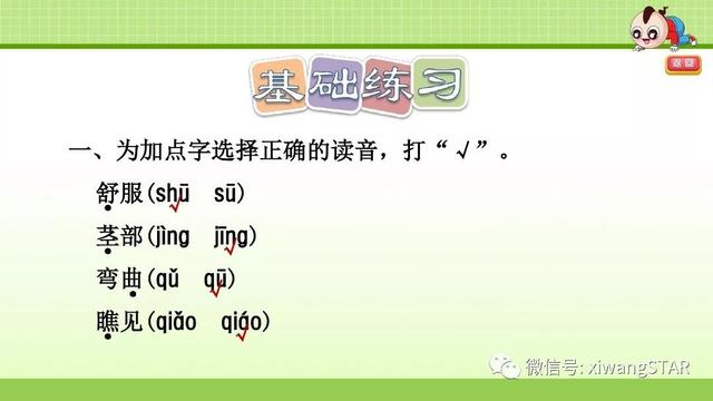 四年级语文上册爬山虎的脚知识点（部编版四年级语文上册第三单元10.爬山虎的脚知识点及练习）(61)