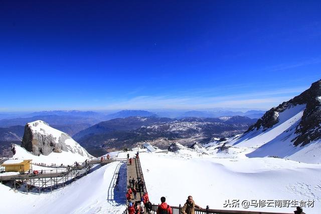 丽江玉龙雪山自由行最佳攻略（要去丽江玉龙雪山旅游的朋友们可以看看哟）(6)