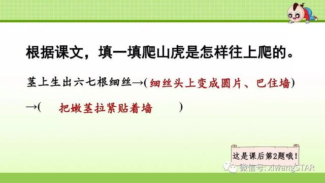 四年级语文上册爬山虎的脚知识点（部编版四年级语文上册第三单元10.爬山虎的脚知识点及练习）(48)