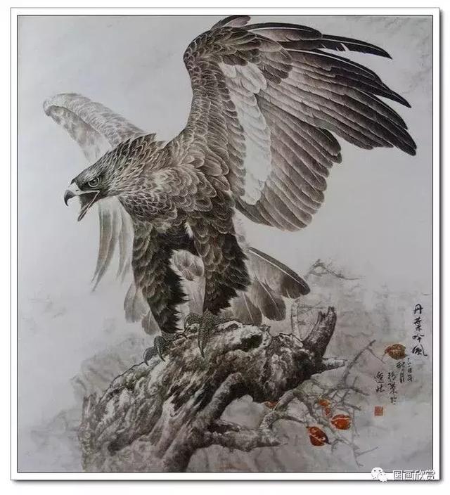 鹰姿百态国画鹰欣赏（鹰姿百态国画鹰欣赏）(57)