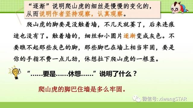 四年级语文上册爬山虎的脚知识点（部编版四年级语文上册第三单元10.爬山虎的脚知识点及练习）(50)