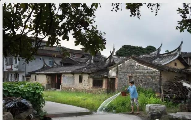 福建永春旅游景点推荐（泉州永春最美5大古村落）(10)