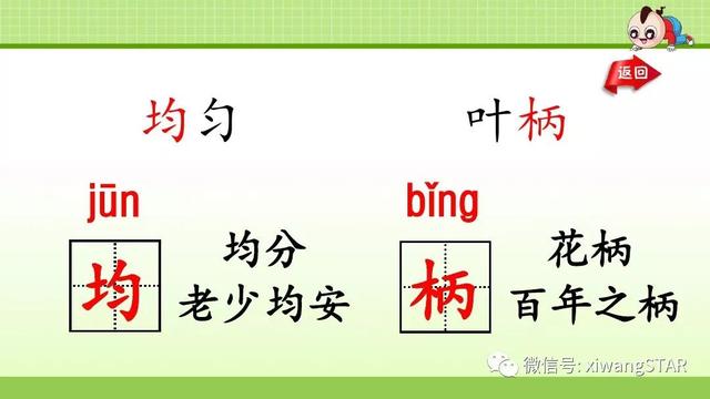 四年级语文上册爬山虎的脚知识点（部编版四年级语文上册第三单元10.爬山虎的脚知识点及练习）(6)