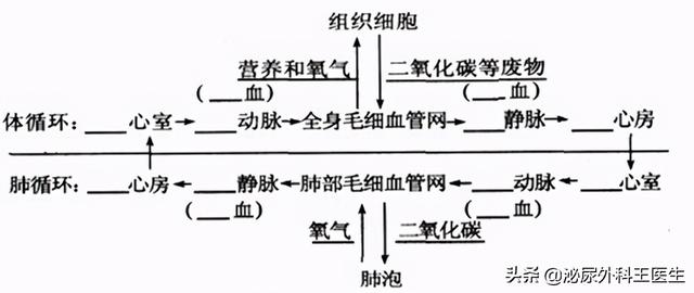 糖尿病周围神经病变前期如何治疗（治疗糖尿病周围神经病变）(6)