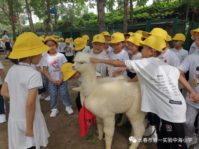 长春第一实验小学中海小学（长春市第一实验中海小学开学第一天）(34)