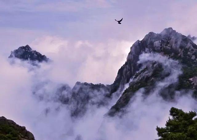 大美黄山点击量最高的风景（大美黄山40幅美醉了）(30)