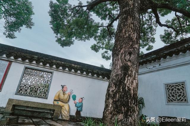 中山周边游适合带孩子去的地方（旅行攻略第一次带孩子来中山）(24)