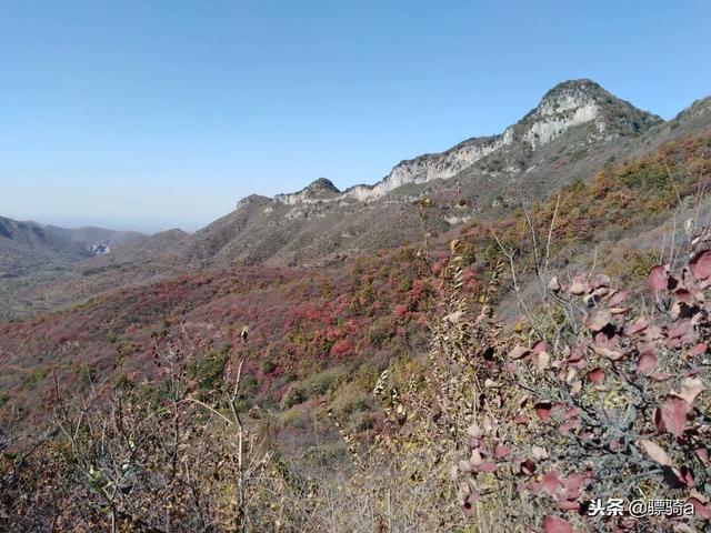 洛阳木札岭景区攻略一日游路线（洛阳自驾偃师柏峪）(9)