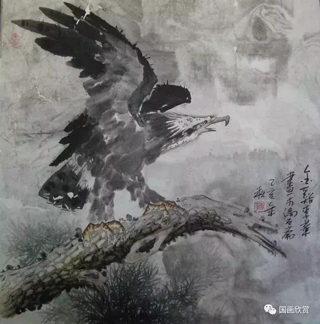 鹰姿百态国画鹰欣赏（鹰姿百态国画鹰欣赏）(5)