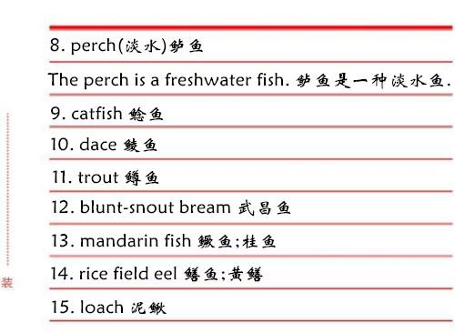 鱼类的名字英文（常见鱼类的中英文名字）(2)