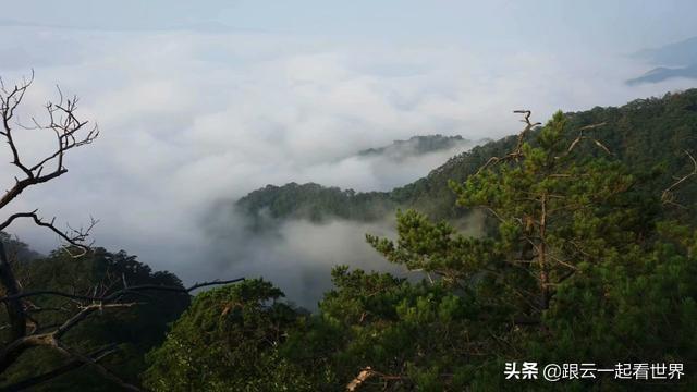 丹东河口旅游攻略自助游（丹东环游记一一绿江村）(4)