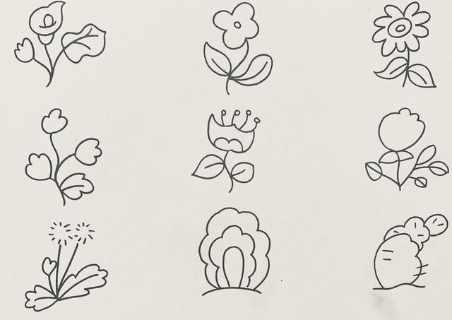 漂亮植物简笔画怎么画（花果植物简笔画）(3)
