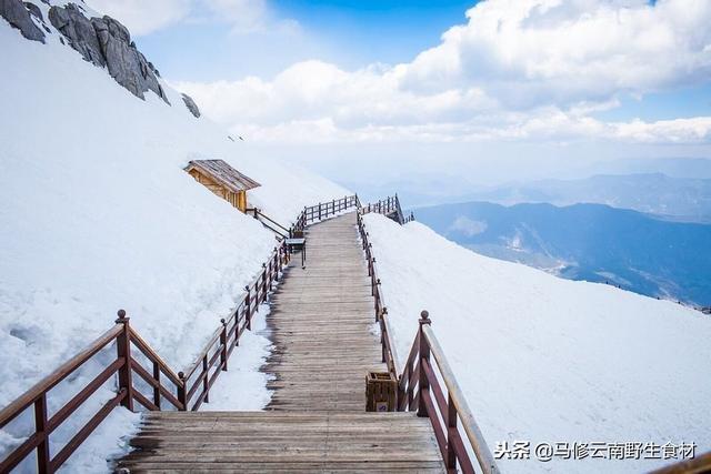 丽江玉龙雪山自由行最佳攻略（要去丽江玉龙雪山旅游的朋友们可以看看哟）(2)