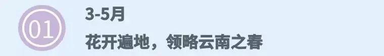 云南适合旅游最佳季节：一年四季分别最适合去哪里(2)