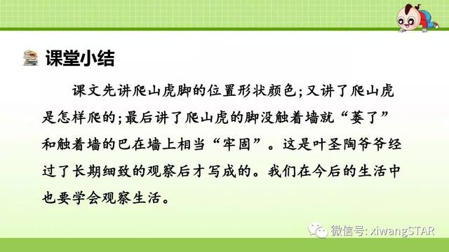 四年级语文上册爬山虎的脚知识点（部编版四年级语文上册第三单元10.爬山虎的脚知识点及练习）(57)