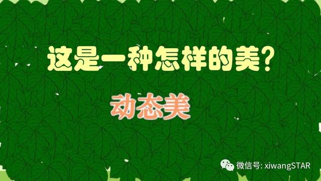 四年级语文上册爬山虎的脚知识点（部编版四年级语文上册第三单元10.爬山虎的脚知识点及练习）(36)