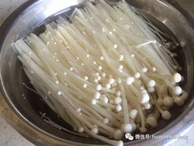 金针菇真的无法消化吗（金针菇很难被胃液消化）(4)