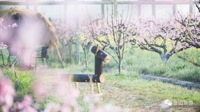 金山游玩攻略全部图解（看金山三月有时间一起来金山旅行吧）(23)