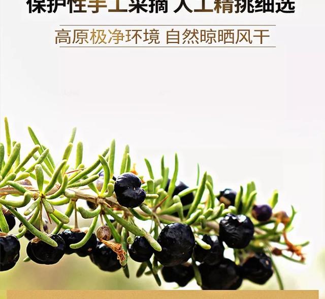 真正的实用化妆品（它被誉为软黄金）(11)