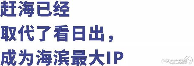 真真正正赶海的（让几千万年轻人沉迷的赶海到底有多上头）(13)