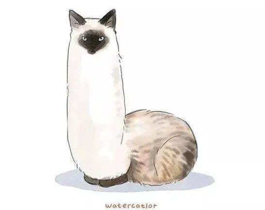 插画师笔下的猫咪叫什么（插画师笔下的猫咪）(8)