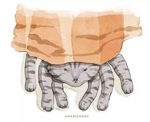 插画师笔下的猫咪叫什么（插画师笔下的猫咪）(38)