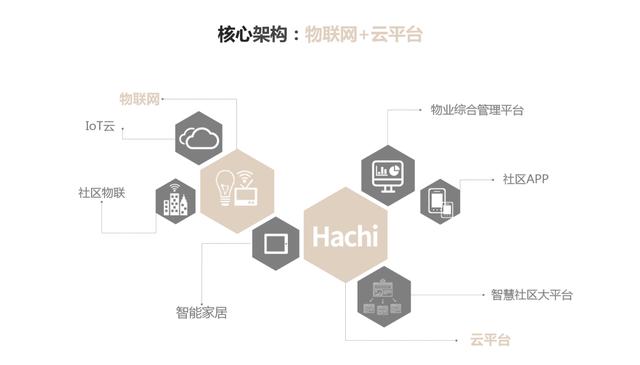 专访哈奇智能ceo胡佳文简历（专访哈奇智能CEO胡佳文）(3)