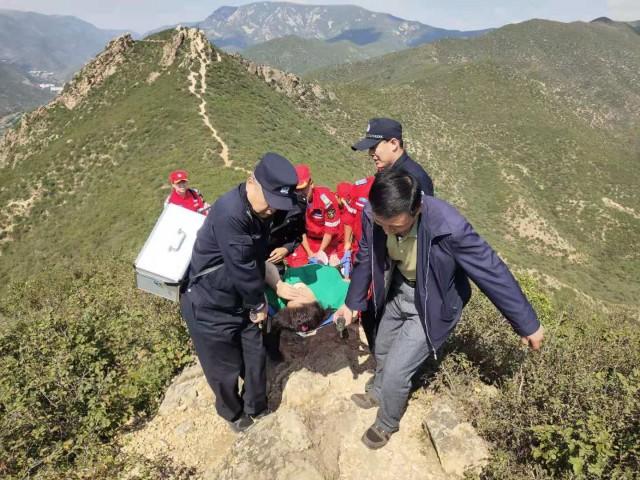 福州 女子登山骨折（一名女子登山时扭伤脚）(1)