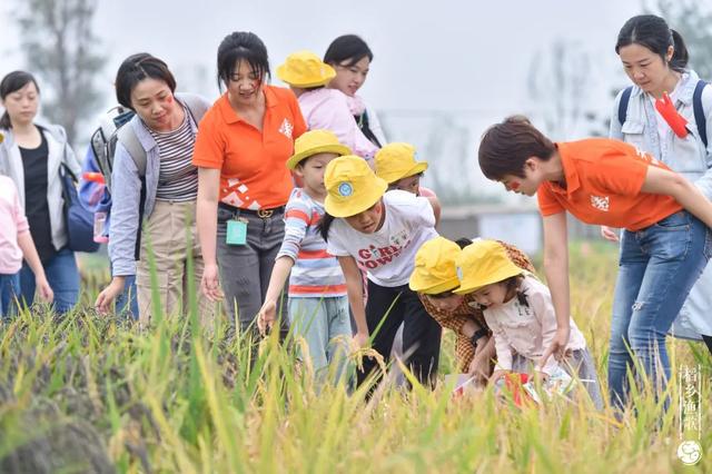 大邑11月附近适合去哪里旅游（国庆玩转大邑）(21)