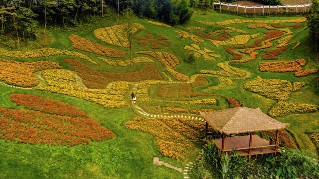 大邑11月附近适合去哪里旅游（国庆玩转大邑）(32)