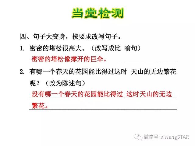 四年级下册语文七月的天山练习册（人教版四年级语文下册第一单元4.）(33)