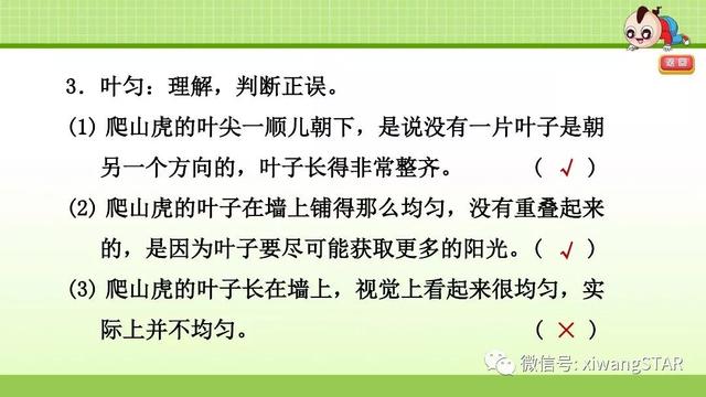 四年级语文上册爬山虎的脚知识点（部编版四年级语文上册第三单元10.爬山虎的脚知识点及练习）(68)