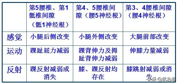 腰椎间盘突出症的正确治疗（腰椎间盘突出症诊断与治疗）(31)