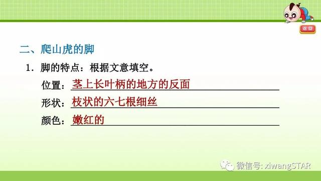 四年级语文上册爬山虎的脚知识点（部编版四年级语文上册第三单元10.爬山虎的脚知识点及练习）(69)