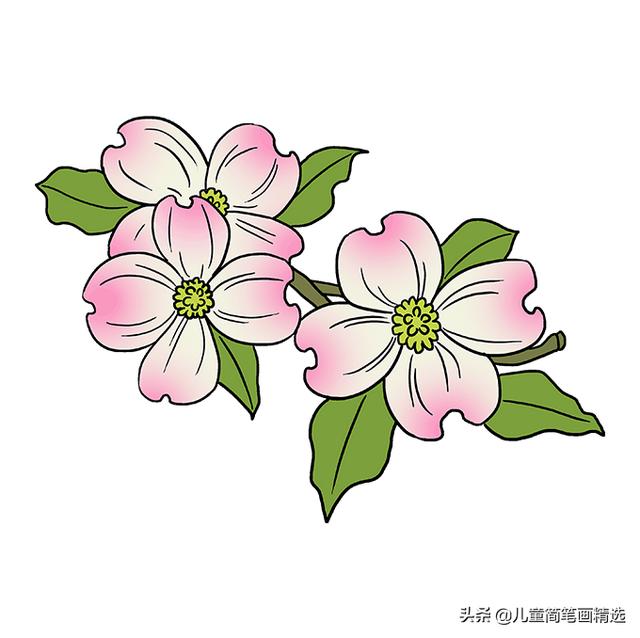 适合小孩子画的简笔画花（儿童简笔画精选-花朵的绘画步骤）(10)